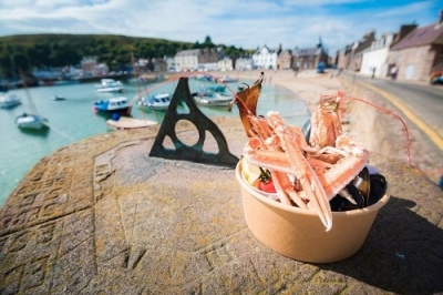 NEWS | Provenance Festival set to return in September 2024