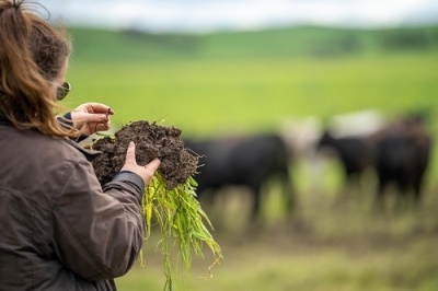 Grass management tech and tools webinar