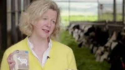 CASE STUDY | Rora Dairy