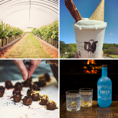 Regional producers and foodies embrace first Provenance Festival