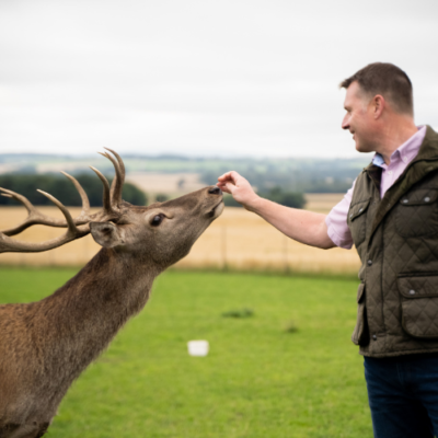 New Provenance Festival offers experiences for all tastes