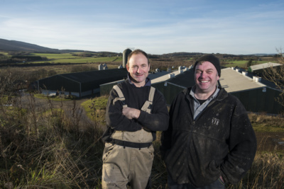 Productivity gains for pig producers